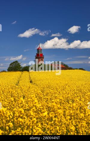 Phare Buk près de Bastdorf dans Yellow Field Banque D'Images