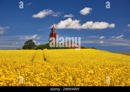 Phare Buk près de Bastdorf dans Yellow Field Banque D'Images