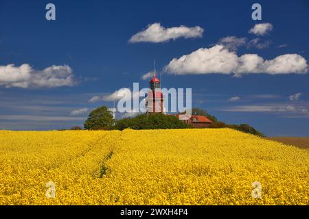 Phare Buk près de Bastdorf dans Yellow Field Banque D'Images