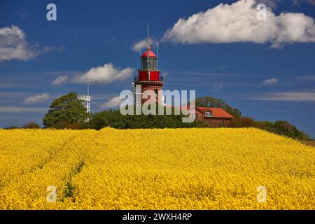 Phare Buk près de Bastdorf dans Yellow Field Banque D'Images