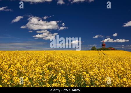 Phare Buk près de Bastdorf dans Yellow Field Banque D'Images