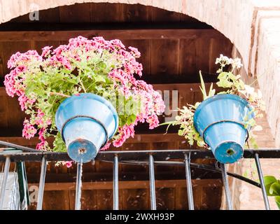 Deux pots de fleurs bleus avec des plantes et des fleurs sur un balcon rustique Banque D'Images