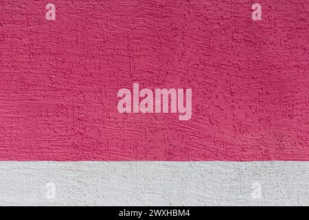 Motif abstrait de mur rugueux rose deux couleurs et conception de fond de texture de coléoptère d'écorce de plâtre blanc. Banque D'Images