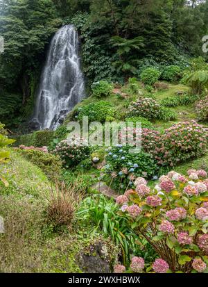 Cascade au Parque Natural Da Ribeira dos Caldeiroes, Sao Miguel, Açores, Portugal Banque D'Images