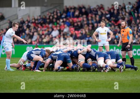 Eccles, Royaume-Uni. 31 août 2023. Gus Warr de Sale Sharks nourrit une mêlée lors du match Gallagher Premiership match Sale Sharks vs Exeter Chiefs au Salford Community Stadium, Eccles, Royaume-Uni, le 31 mars 2024 (photo par Steve Flynn/News images) à Eccles, Royaume-Uni le 31/08/2023. (Photo par Steve Flynn/News images/SIPA USA) crédit : SIPA USA/Alamy Live News Banque D'Images