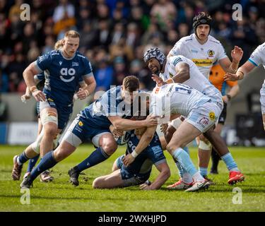 31 mars 2024 ; Salford Community Stadium, Salford, Lancashire, Angleterre; Gallagher Premiership Rugby, Sale Sharks contre Exeter Chiefs ; Ben Curry de Sale Sharks est attaqué par Harvey Skinner d'Exeter Chiefs Banque D'Images