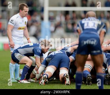 31 mars 2024 ; Salford Community Stadium, Salford, Lancashire, Angleterre; Gallagher Premiership Rugby, Sale Sharks contre Exeter Chiefs ; Gus Warr de Sale Sharks met le ballon dans la mêlée Banque D'Images