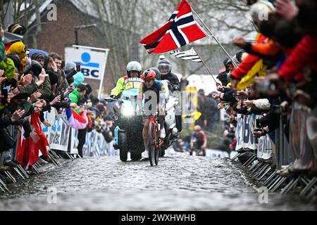 Oudenaarde, Belgique. 31 mars 2024. La néerlandaise Shirin Van Anrooij de Lidl-Trek photographiée en action lors de la course féminine de la 'ronde van Vlaanderen/ Tour des Flandres/ Tour of Flanders'' une journée cycliste, 163 km avec départ et arrivée à Oudenaarde, dimanche 31 mars 2024. BELGA PHOTO JASPER JACOBS crédit : Belga News Agency/Alamy Live News Banque D'Images