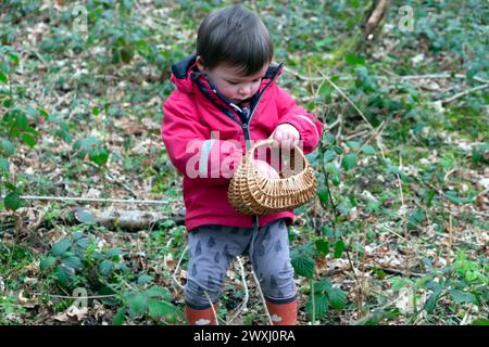 Chasse aux oeufs de Pâques enfant avec panier de chocolat oeufs de Pâques dans Carmarthenshire pays de Galles mars jardin 2024 Royaume-Uni Grande-Bretagne KATHY DEWITT Banque D'Images