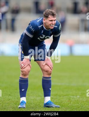 Eccles, Royaume-Uni. 31 août 2023. Tom Roebuck de Sale Sharks lors du match Gallagher Premiership match Sale Sharks vs Exeter Chiefs au Salford Community Stadium, Eccles, Royaume-Uni, 31 mars 2024 (photo par Steve Flynn/News images) à Eccles, Royaume-Uni le 31/08/2023. (Photo par Steve Flynn/News images/SIPA USA) crédit : SIPA USA/Alamy Live News Banque D'Images