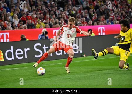 MUNICH, Allemagne. , . 6 Joshua KIMMICH du FC Bayern en action vs 27 Karim ADEYEMI du BVB lors du match de Bundesliga Football entre le FC Bayern Muenchen et le Borussia Dortmund, BVB, à l'Allianz Arena de Munich le 30. Mars 2024, Allemagne. DFL, Fussball, 0:2(photo et copyright @ Jerry ANDRE/ATP images) (ANDRE Jerry/ATP/SPP) crédit : SPP Sport Press photo. /Alamy Live News Banque D'Images