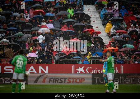 Gérone, Espagne. 31 mars 2024. La Liga EA Sports match entre le Girona FC et le Real Betis à l'Estadio Municipal de Montilivi, à Gérone, Espagne, le 31 mars 2024. Photo de Felipe Mondino crédit : Agence photo indépendante/Alamy Live News Banque D'Images