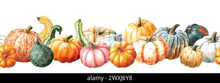 Bordure d'automne, récolte de citrouille, motif sans couture d'aquarelle dessiné à la main isolé sur fond blanc Banque D'Images