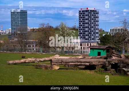 Vue depuis Hoehenpark Killesberg sur l'enclos des animaux jusqu'au quartier de Feuerbach, nouvelle tour Porsche Design Tower, Skyline Living Tower, Pragsattel Banque D'Images