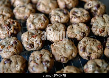 Biscuits aux pépites de chocolat et aux noix fraîchement cuits, refroidissement sur grille. Banque D'Images