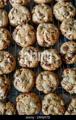 Biscuits aux pépites de chocolat fraîchement cuits, refroidissant sur grille. Banque D'Images