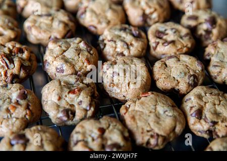 Biscuits aux pépites de chocolat fraîchement cuits, refroidissant sur grille. Banque D'Images