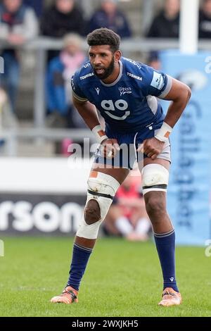 Eccles, Royaume-Uni. 31 août 2023. Hyron Andrews de Sale Sharks lors du match Gallagher Premiership match Sale Sharks vs Exeter Chiefs au Salford Community Stadium, Eccles, Royaume-Uni, 31 mars 2024 (photo par Steve Flynn/News images) à Eccles, Royaume-Uni le 31/08/2023. (Photo par Steve Flynn/News images/SIPA USA) crédit : SIPA USA/Alamy Live News Banque D'Images