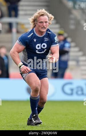 Eccles, Royaume-Uni. 31 août 2023. Ross Harrison de Sale Sharks lors du match Gallagher Premiership match Sale Sharks vs Exeter Chiefs au Salford Community Stadium, Eccles, Royaume-Uni, 31 mars 2024 (photo par Steve Flynn/News images) à Eccles, Royaume-Uni le 31/08/2023. (Photo par Steve Flynn/News images/SIPA USA) crédit : SIPA USA/Alamy Live News Banque D'Images