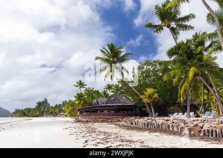 Paysage côtier avec bar de plage sous des cocotiers. Plage de la Côte d'Or, île de Praslin, Seychelles Banque D'Images