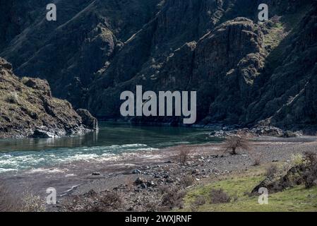 La rivière Imnaha, chargée de limon provenant d'une mauvaise utilisation des terres, pénètre dans la rivière Snake à Hells Canyon, Oregon. Banque D'Images