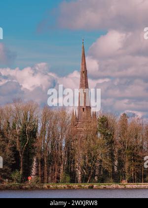 Église paroissiale St Malachy de la forêt de Hillsborough Banque D'Images