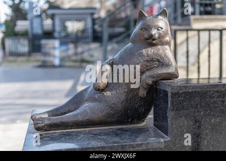 ISTANBUL, TURQUIE - 30 MARS 2024 : Monument du chat Tombili dans le district de Kadikoy. Banque D'Images