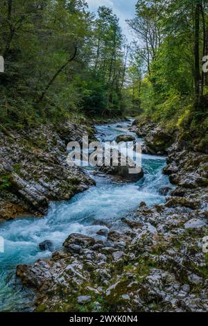 Gorges de Vintgar Slovénie Banque D'Images