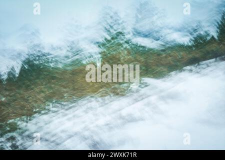 Un mélange de conifères verts, émeraude et jade dans la neige, danse en diagonale sur cette image abstraite créée par Intentional Camera Movement (ICM) Banque D'Images