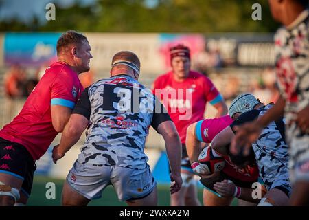 Fort Lauderdale, Floride, États-Unis. 31 mars 2024. Miami Sharks v San Diego Legion Regular MLR Rugby 2024 au Florida Blue Training Center, Fort Lauderdale, Floride, États-Unis. Crédit : Yaroslav Sabitov/YES Market Media/Alamy Live News. Banque D'Images