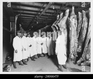 Les élèves de l'école vétérinaire de l'armée regardent des carcasses de bétail dans un congélateur à l'hôpital Walter Reed CA. 1924 Banque D'Images