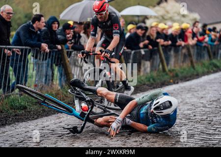 Oudenaarde, Belgique. 31 mars 2024. Photo Zac Williams/SWpix.com - 31/03/2024 - cyclisme - 2024 ronde Van Vlaanderen - Sander de Pestel, Decathlon AG2R la mondiale, s'écrase sur le Koppenberg. Crédit : SWpix/Alamy Live News Banque D'Images