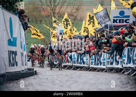 Oudenaarde, Belgique. 01st Apr, 2024. Photo par Zac Williams/SWpix.com - 31/03/2024 - cyclisme - 2024 ronde Van Vlaanderen - Michael Matthews, Jayco Alula. Crédit : SWpix/Alamy Live News Banque D'Images