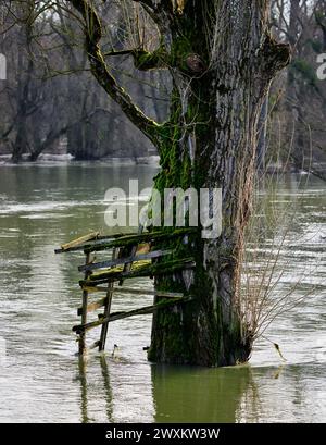 Un banc vieilli abandonné dans l'eau, arbre couvert de mousse Banque D'Images