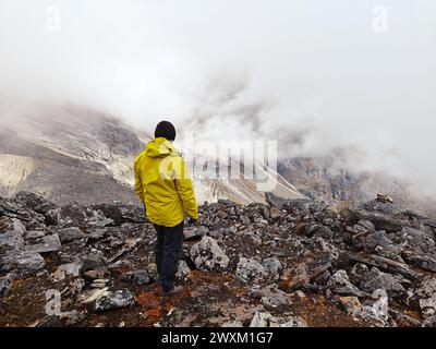 Personne en veste jaune regardant au-dessus du paysage himalayen brumeux. Banque D'Images