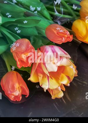 Un bouquet de magnifiques tulipes rouges, roses et jaunes sur la table. Présenté en gros plan. Vue de dessus. Banque D'Images