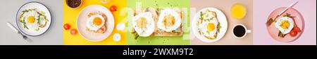 Ensemble de sandwichs avec oeuf frit sur fond de couleur Banque D'Images