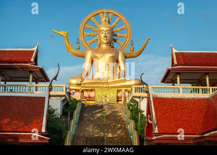 Koh Samui, Thaïlande - 21 janvier 2024 : statue de Bouddha doré dans le temple Wat Phra Yai, Koh Samui, Thaïlande Banque D'Images