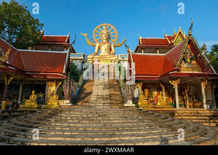 Koh Samui, Thaïlande - 21 janvier 2024 : Grand Bouddha doré dans le temple Wat Phra Yai sur Samui en Thaïlande Banque D'Images