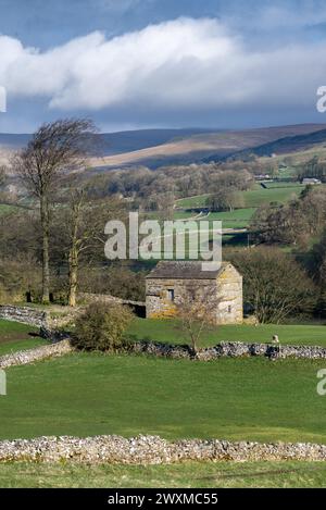 Tôt le matin dans le haut Wensleydale, en regardant le dale près de Burtersett vers Abbotside et Cotterdale Fells au début du printemps. Yorkshire Dales Nation Banque D'Images