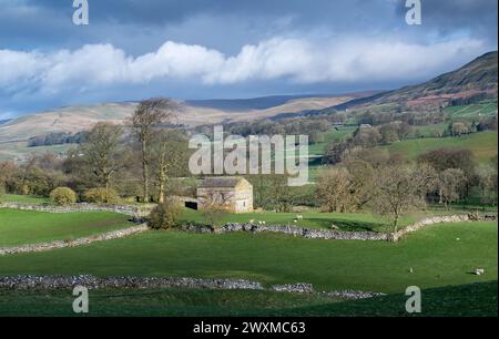 Tôt le matin dans le haut Wensleydale, en regardant le dale près de Burtersett vers Abbotside et Cotterdale Fells au début du printemps. Yorkshire Dales Nation Banque D'Images