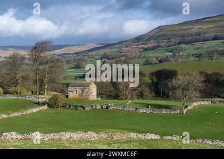 Tôt le matin dans le haut Wensleydale, en regardant le dale près de Burtersett vers Abbotside et Cotterdale Fells au début du printemps. Yorkshire Dales Nation Banque D'Images