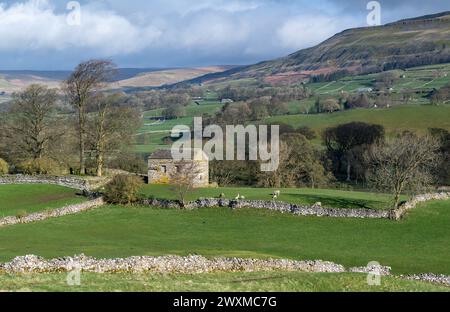 Tôt le matin dans le haut Wensleydale, en regardant le dale près de Burtersett vers Abbotside et Cotterdale Fells au début du printemps. Yorkshire Dales Nation Banque D'Images