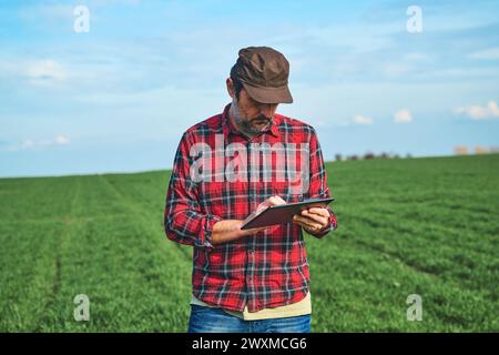 Agriculture intelligente, travailleur agricole utilisant une table numérique dans un champ de blé cultivé, mise au point sélective Banque D'Images