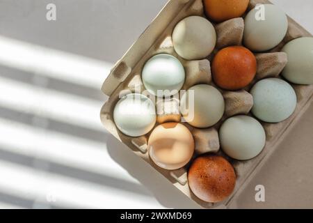 carton d'oeufs frais de ferme colorés assis sur le comptoir blanc au soleil Banque D'Images