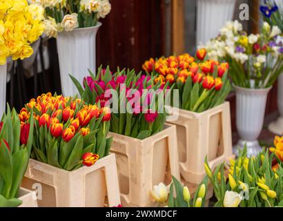 Diverses fleurs en pot exposées sur une table à un marché aux fleurs Banque D'Images
