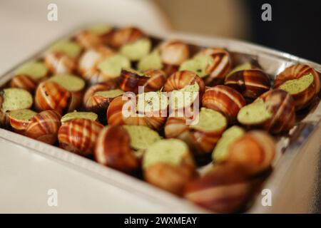 escargots prêts à cuire avec du beurre et des herbes Banque D'Images