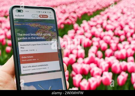 Smartphone montrant le site du Keukenhof, 'le plus beau jardin de printemps du monde', avec des champs de tulipes lisse en arrière-plan Banque D'Images