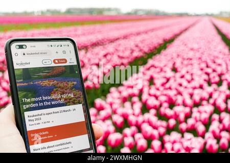 Smartphone montrant le site du Keukenhof, 'le plus beau jardin de printemps du monde', avec des champs de tulipes lisse en arrière-plan Banque D'Images