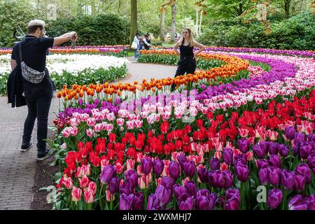 Photographe prenant une photo d'une femme posant parmi des tulipes vibrantes et colorées dans un des jardins de Keukenhof, lisse, pays-Bas Banque D'Images